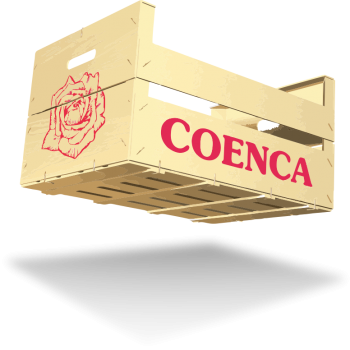 Logo_coenca_hi